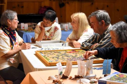 Jigsaw puzzle challenge